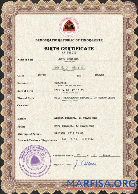 Realistic Timor Leste vital record birth certificate PSD template